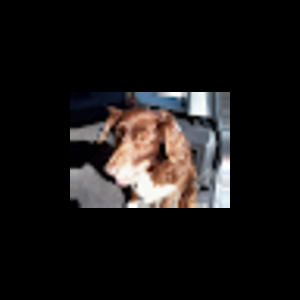 Meet your Posher, Jl